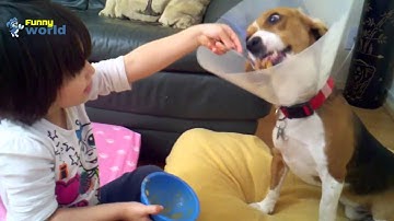 Remove spoon on garbage disposal