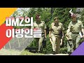 공동경비구역 JSA 이영애의 소속, 중립국감독위원회  (KBS 2001.06.24 방송)