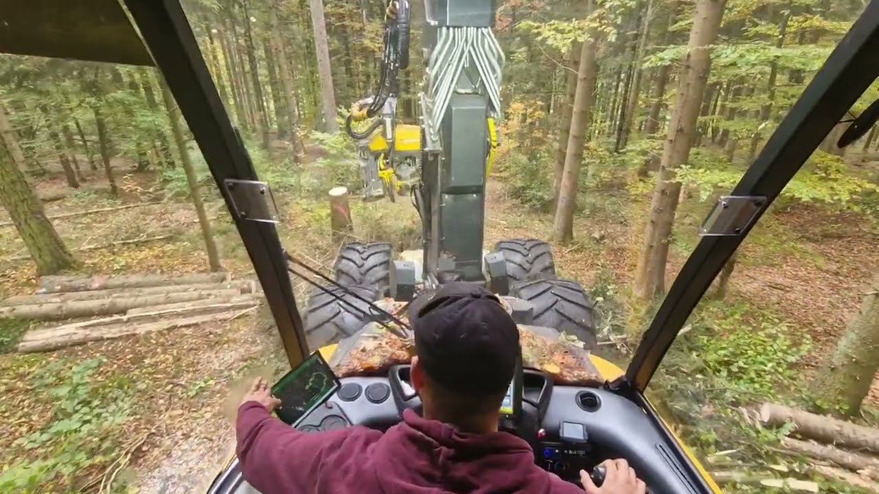 Holzernte mit der MW-Forst App