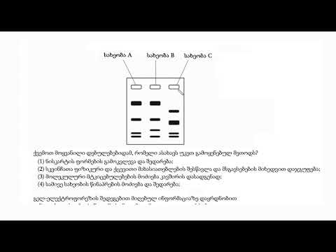 ევოლუციური ურთიერთკავშირების მაგალითების მოლეკულური მტკიცებულება