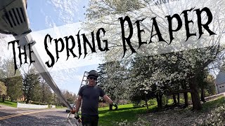 The Spring Reaper -- Solo Tree Work from Climbing to Cleanup