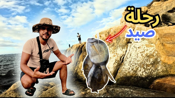#المغرب #العيش_الحر .  صيد، مغامرة، ومتعة لا تُوصف... يوم رائع في البحر! 🎣☀️