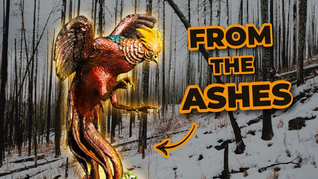 Let's try that again, shall we?