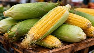 How Long Should You Boil Fresh Corn On The Cob? Heres The Ideal Time