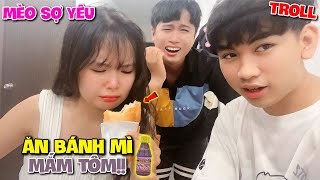 Tuấn Kha Troll Mèo Sợ Yêu Ăn Bánh Mì Mắm Tôm Và Cái Kết?