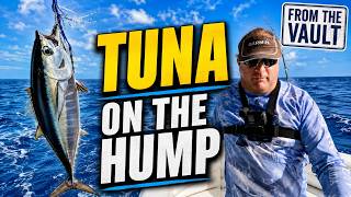 How to Catch Blackfin Tuna on the Marathon Hump | Proven Tactics That Still Work
