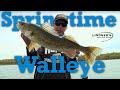 Springtime walleye