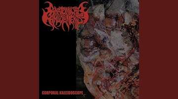 Close the Chapter: Farewell in Crematory Stoves