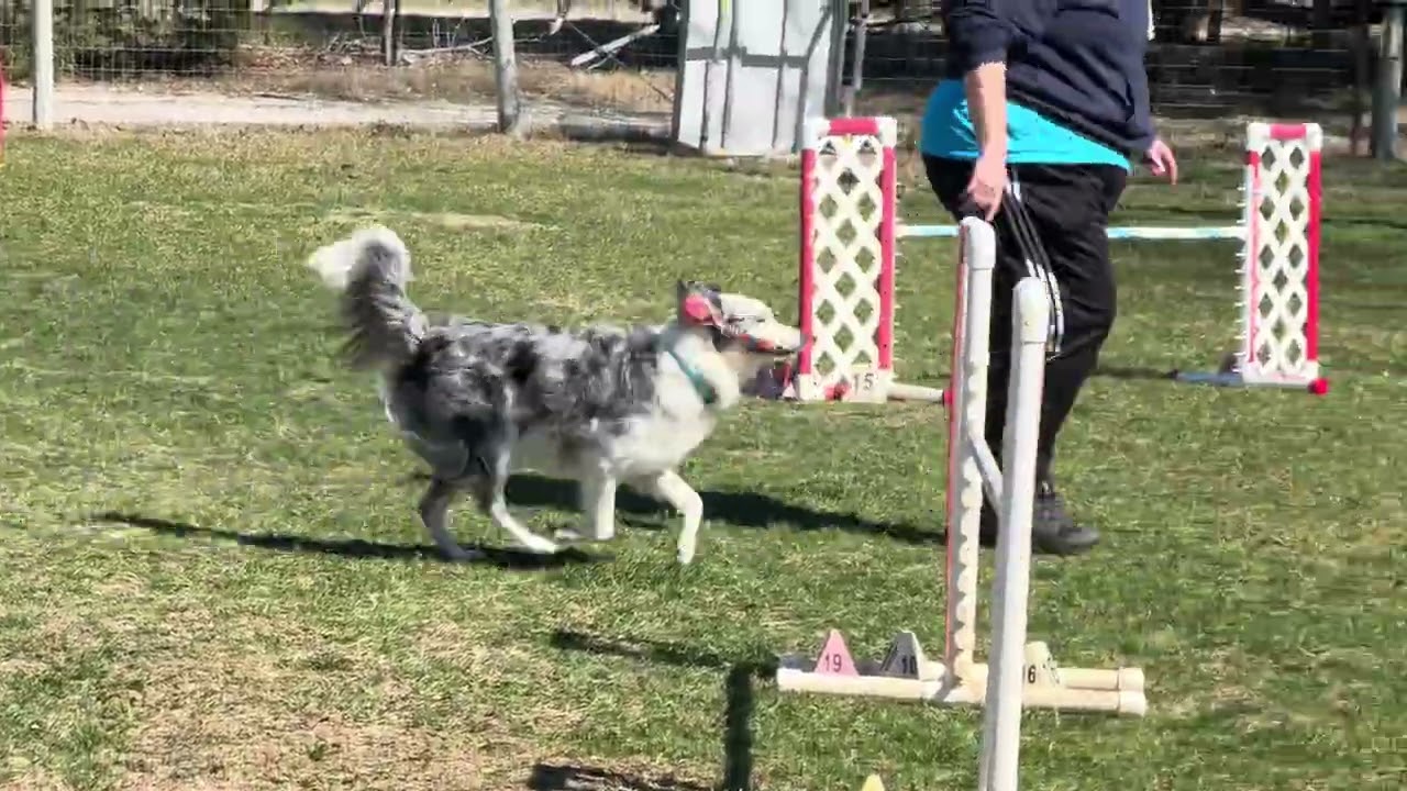 Medley and Rhyme Tawni winter 2026 