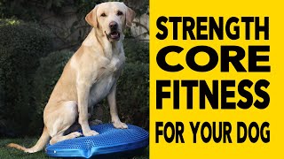 Dog Fitness - Exercises to Get Your Dog Into Great Shape, Strength, Core, Fitness