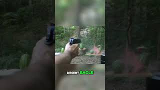 Desert Eagle vs. Watermelons: Epic Showdown!