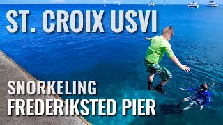 Snorkeling the Frederiksted Pier in ST. CROIX, USVI [4K]