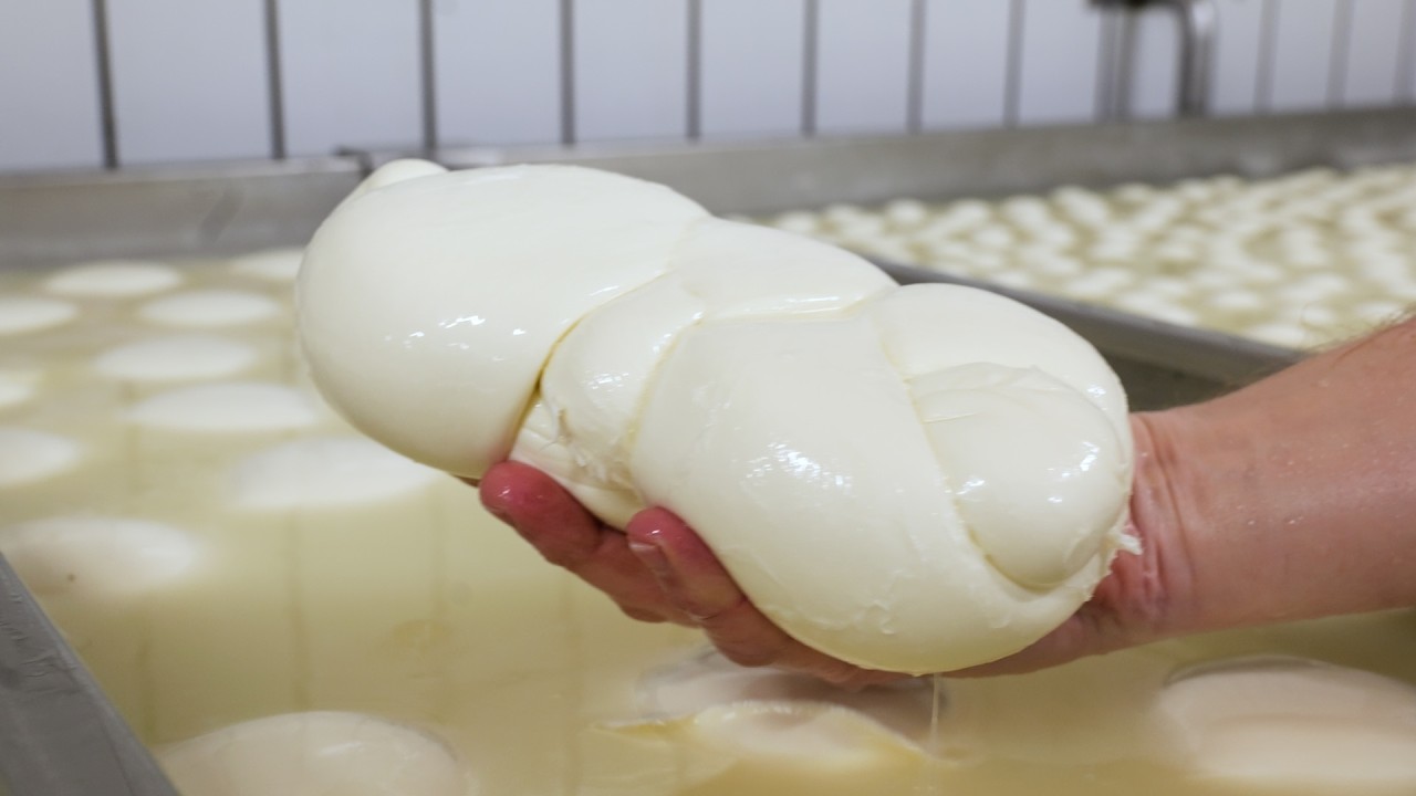 How Giant Italian Buffalo Mozzarella Balls Are Made