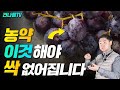 잘못 알고 있는 과일 채소 세척 방법 농약 제거 이렇게 하세요