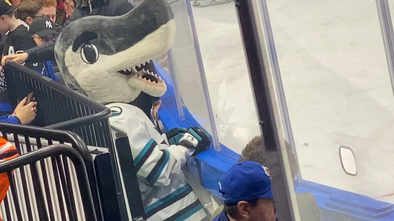 San Jose Sharks Team Mascot SJ Sharkie