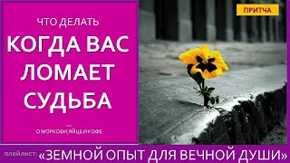 ⛅{SUB} 🌞Как пережить тяжелое время  Как не сломаться  Притчя о моркови яйце и кофе