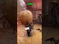 Il refuse de laver sa moto… jusqu’à ce qu’il entende ça ! #short #shorts