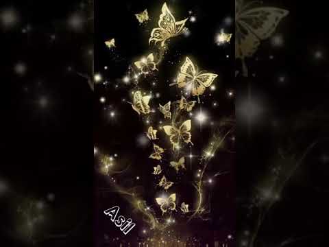 هدى عمار خوف