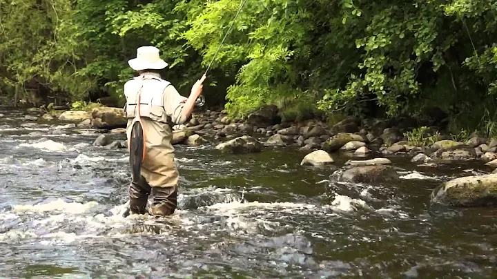 River fly fishing techniques