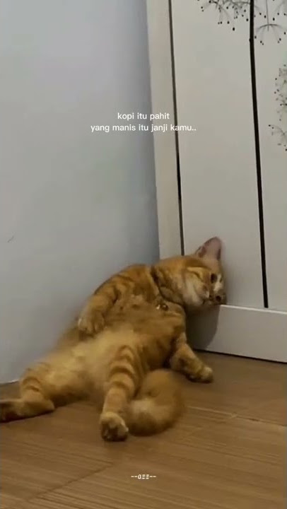 STORY WA 30 DETIK || STORY WA TERBARU 2022 || STORY WA GABUT || STATUS WA KEREN