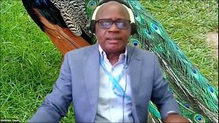 Introduction to AFRiSC mobile learning platform screenshot 4