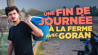 FIN DE JOURNÉE À LA FERME : calme, récoltes et derniers soins 🌙