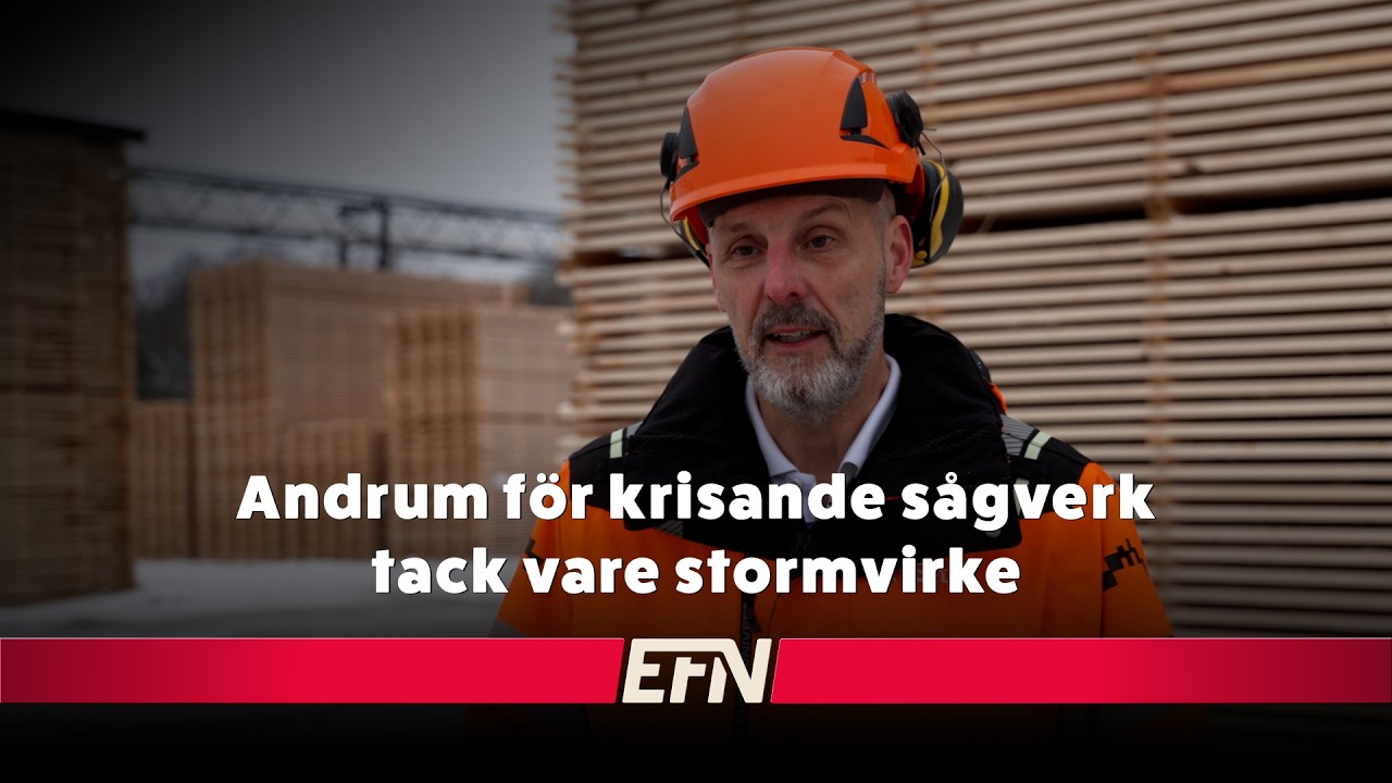 Stormfällt timmer ger andrum för pressad sågverksindustri