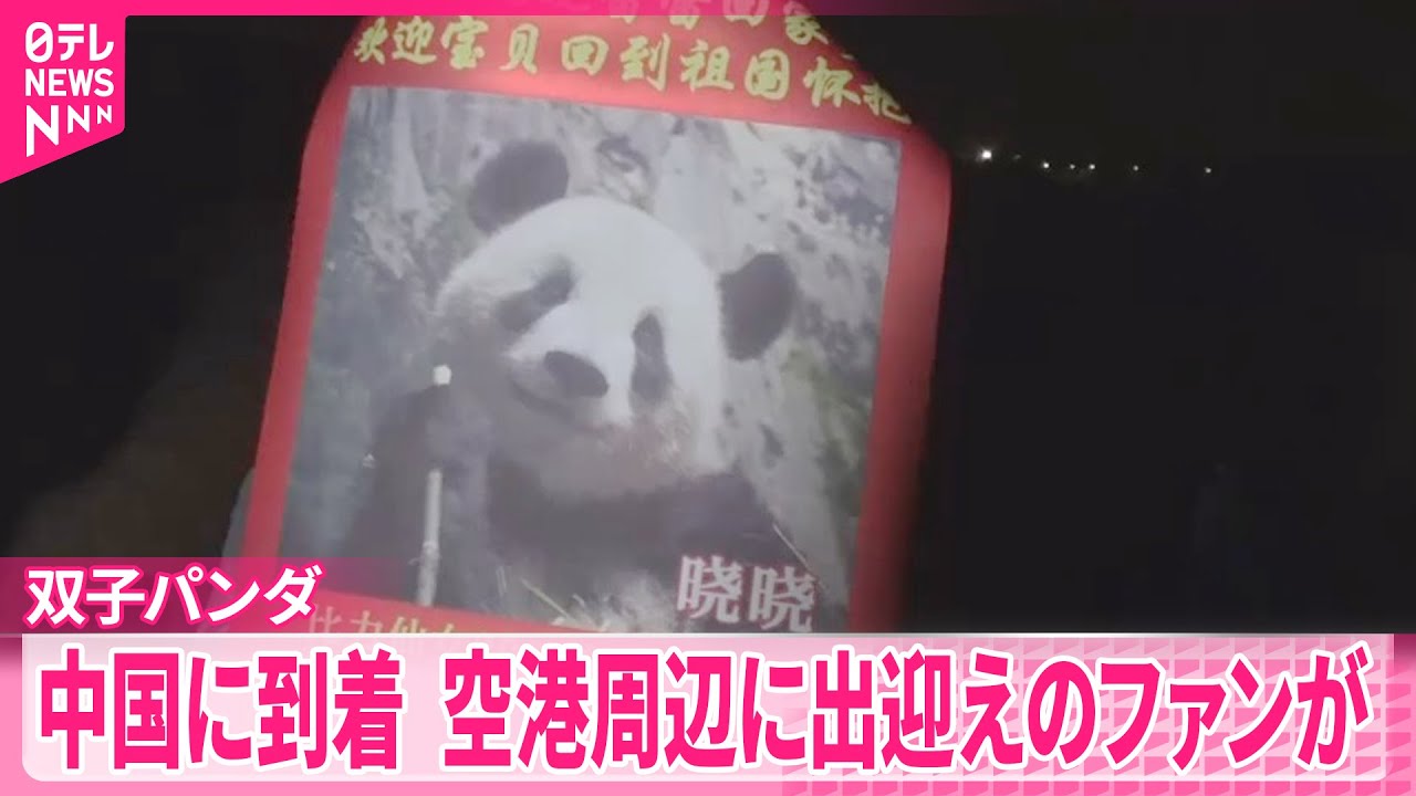 【中国に返還】双子のジャイアントパンダ  四川省の空港到着