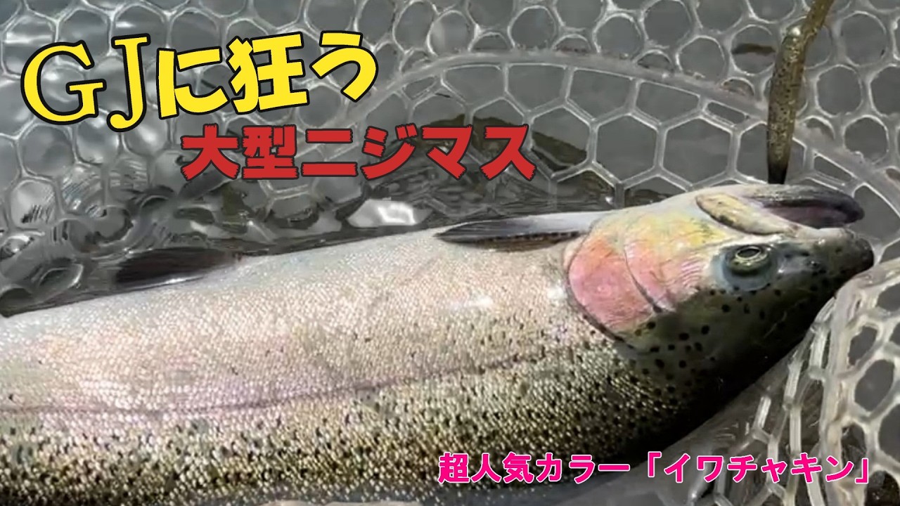 【すそのフィッシングパーク】大型ニジマスが狂ったように飛びつく!GJ「イワチャキン」が凄すぎた