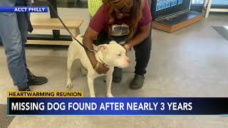Dog missing for 3 years found in Philly, reunited with late owner's sister in Tennessee