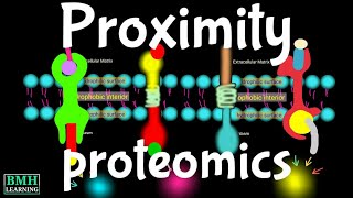 Proximity proteomics | Biotin Dependent Proximity Labelling | BioID |