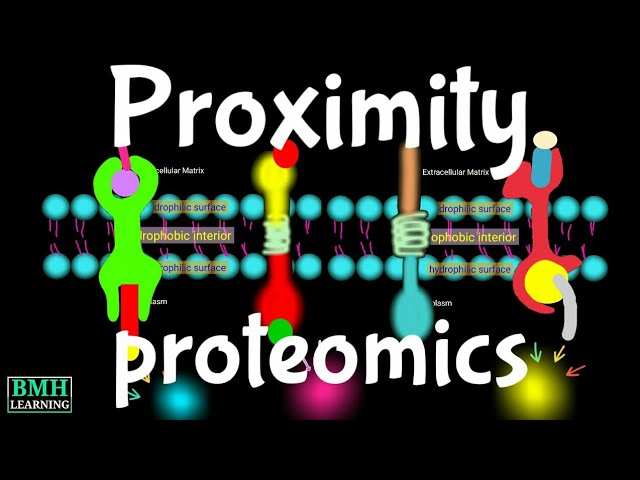 Proximity proteomics | Biotin Dependent Proximity Labelling | BioID |