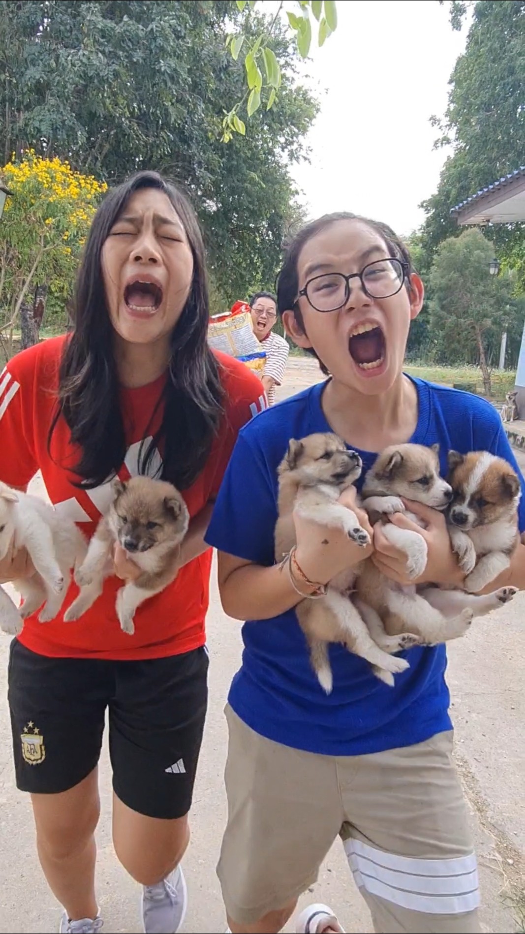 Too Smart Duo‼️ and Puppy Rescue?  | JJaiPan #Shorts #funnydogs