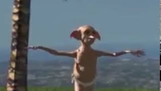 Dobby Dances With Michael Jackson