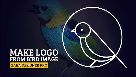 LOGO FROM BIRD IMAGE | XARA DESIGNER PRO