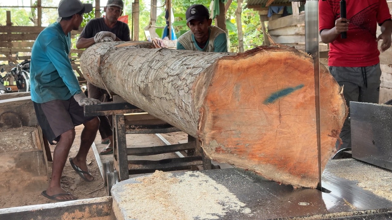 Practical Guide to Cutting 2x20 Wood in a Sawmill Machine - YouTube