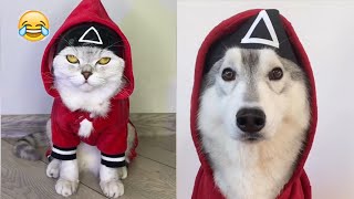 Squid Game of Dogs 🐶 Funny Angry Dogs 🤣 Don't Mess With These Pets #PetPlanet