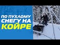 На всесезонном мотобуксировщике КОЙРА по пухлому снегу в лесу. www.KOiRA.pro