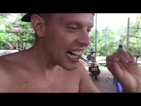 videos for cats Eating Cow (Bull) Penis and Testicles in Cambodia ញ៉ាំលិនគោ