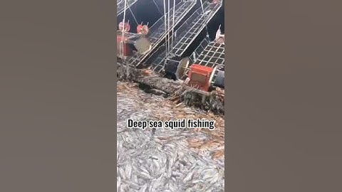 Deep sea squid fishing on the night of September 2