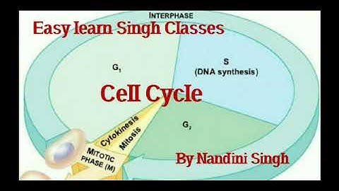 Easy Learn- Phases of Cell Cycle | For Csir Net, Dbt Jrf and other Exams by Nandini Singh
