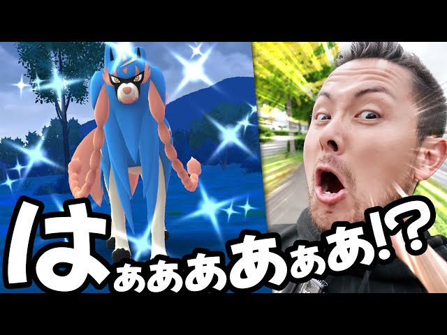 Huh?! I chased after a shiny Zacian, but it wasn't shiny, and
