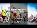 Replay wings for life world run 2019  global event