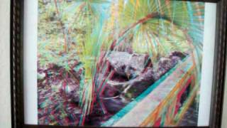 3-d pictures framed by KOLB.MOV