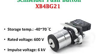 new original Schneider XB4BG21 22mm 1NO mini Chromium plated metal Selector Switch