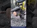 Advanced Smart Tree Harvesting Machine Innovation with Computer-Guided Precision Cutting