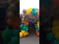 Junges Gemüse - auf die Füße !