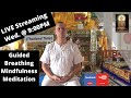 (Group Learning Program) - Guided Breathing Mindfulness Meditation and Student Questions