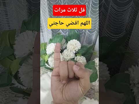 قل ثلاث مرات اللهم اقضي حاجتي احاديث الحج المصحف السعودية