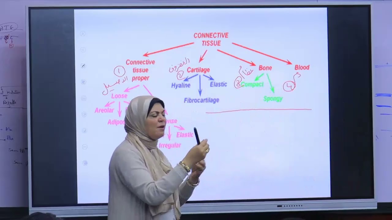 كراش كورس هستولوجى موديول 101     د/ داليا المراكبى            شابتر الــ Connective Tissue  